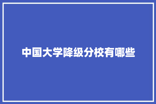 中国大学降级分校有哪些