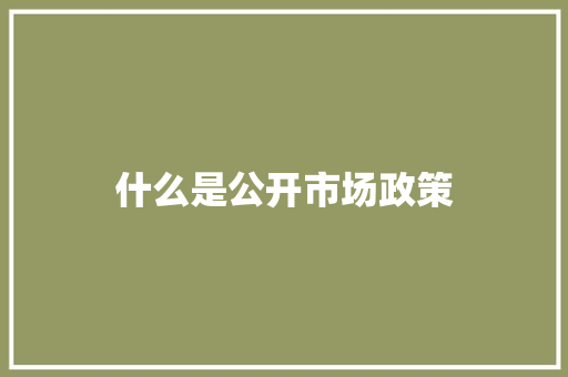 什么是公开市场政策