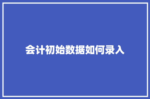 会计初始数据如何录入