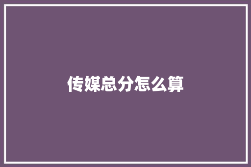 传媒总分怎么算