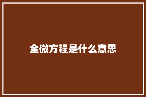 全微方程是什么意思