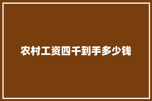 农村工资四千到手多少钱