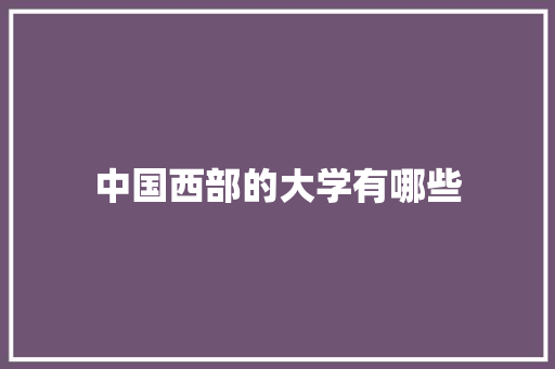 中国西部的大学有哪些