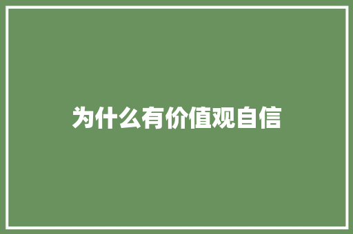 为什么有价值观自信