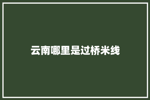 云南哪里是过桥米线