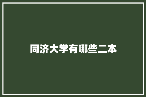 同济大学有哪些二本