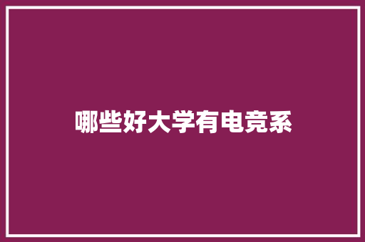 哪些好大学有电竞系