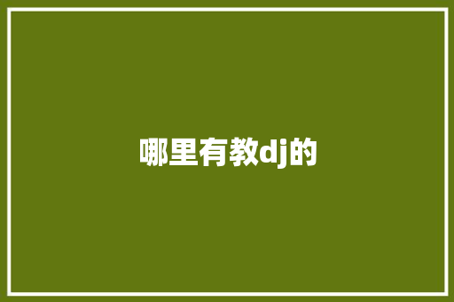 哪里有教dj的