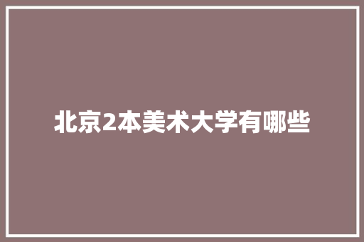 北京2本美术大学有哪些