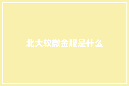 北大软微金服是什么