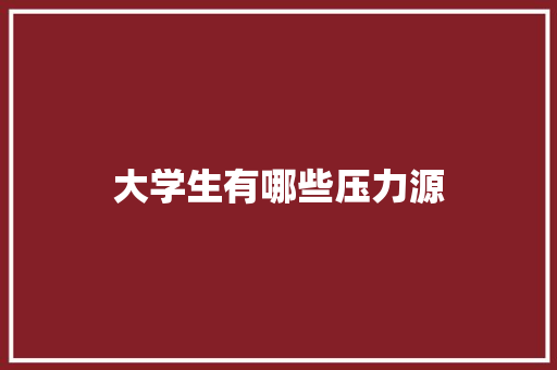 大学生有哪些压力源