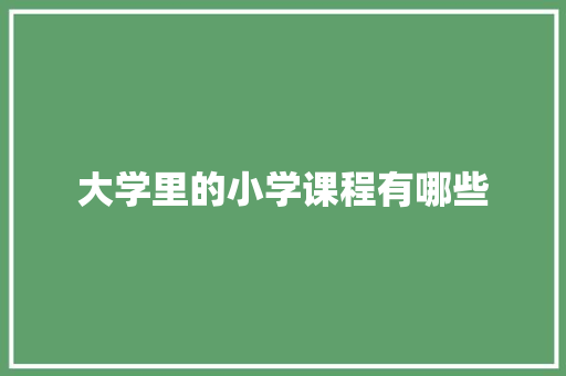 大学里的小学课程有哪些