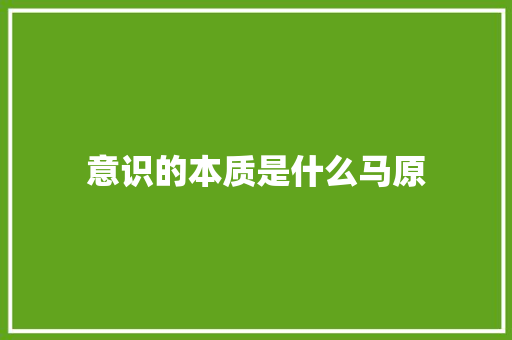 意识的本质是什么马原
