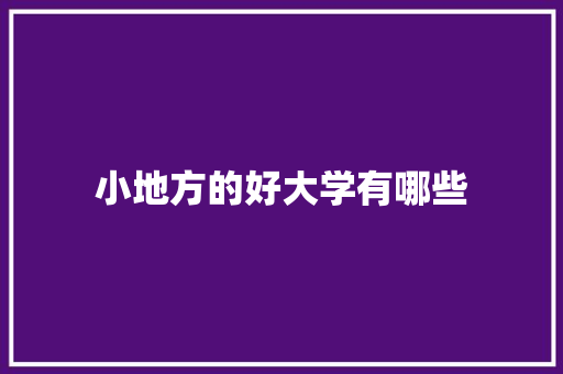 小地方的好大学有哪些