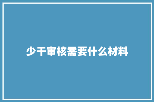 少干审核需要什么材料