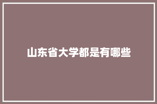 山东省大学都是有哪些