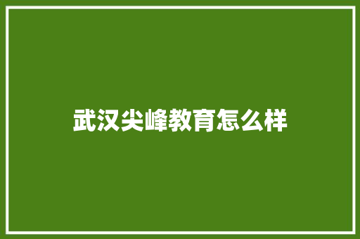 武汉尖峰教育怎么样