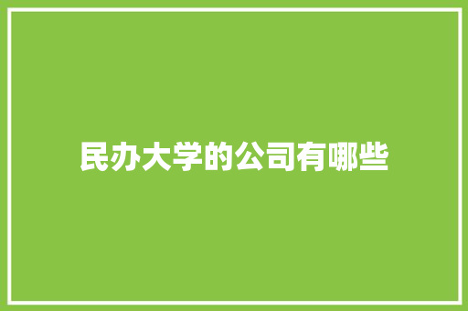 民办大学的公司有哪些