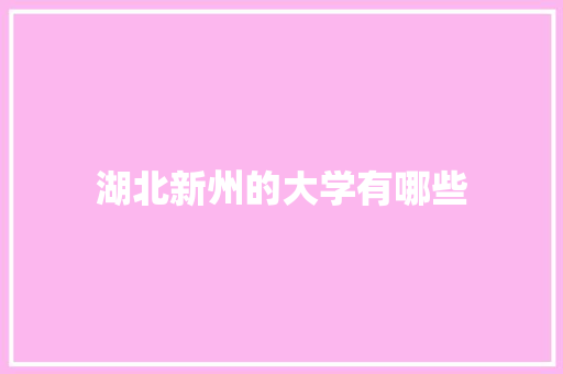 湖北新州的大学有哪些