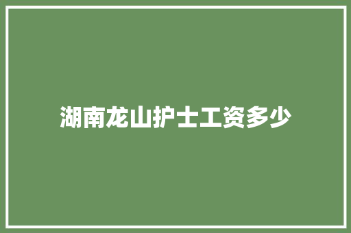 湖南龙山护士工资多少