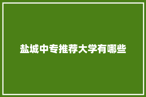 盐城中专推荐大学有哪些