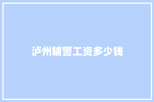 泸州辅警工资多少钱