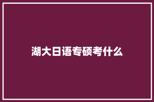 湖大日语专硕考什么
