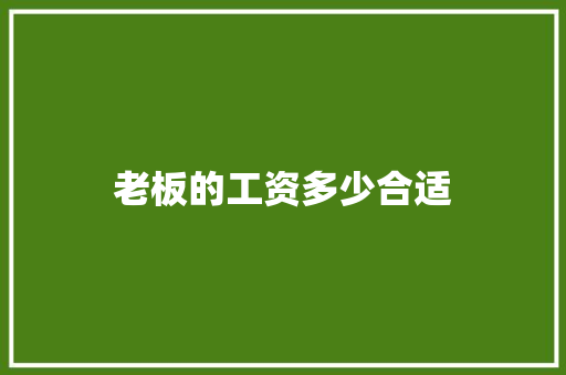 老板的工资多少合适
