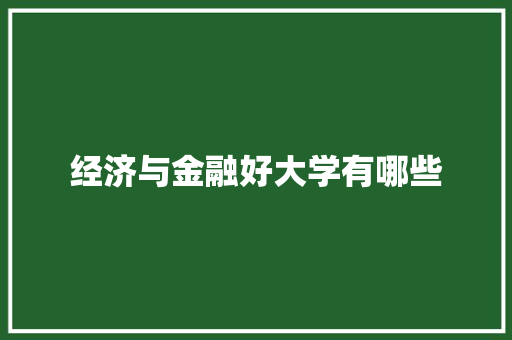经济与金融好大学有哪些