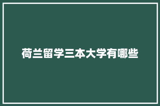 荷兰留学三本大学有哪些