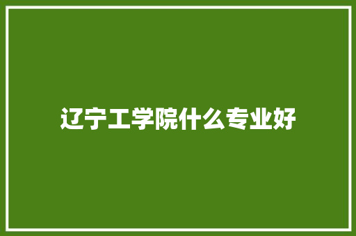 辽宁工学院什么专业好