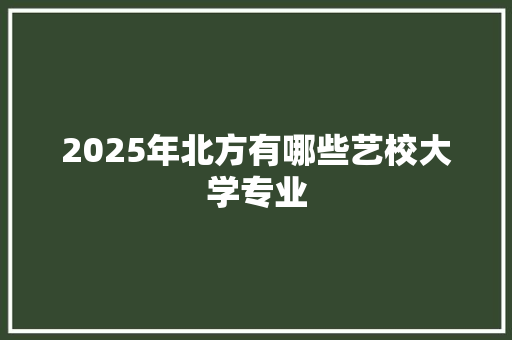 2025年北方有哪些艺校大学专业