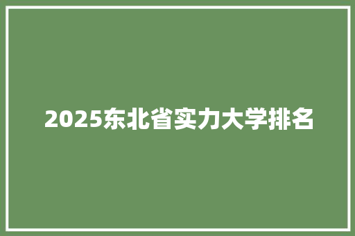 2025东北省实力大学排名