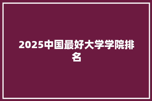 2025中国最好大学学院排名