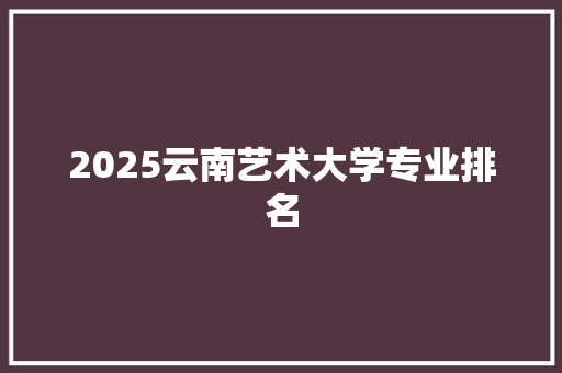 2025云南艺术大学专业排名