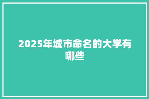 2025年城市命名的大学有哪些