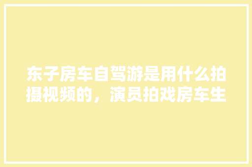 2020什么证书