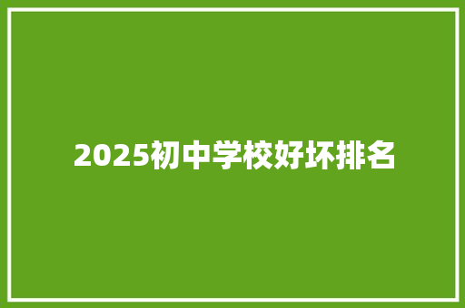 2025初中学校好坏排名