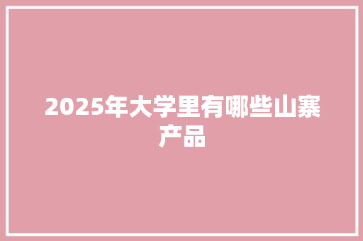2025年大学里有哪些山寨产品