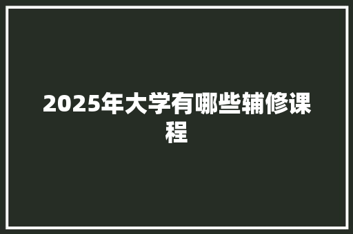 2025年大学有哪些辅修课程