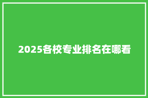 2025各校专业排名在哪看