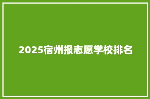2025宿州报志愿学校排名