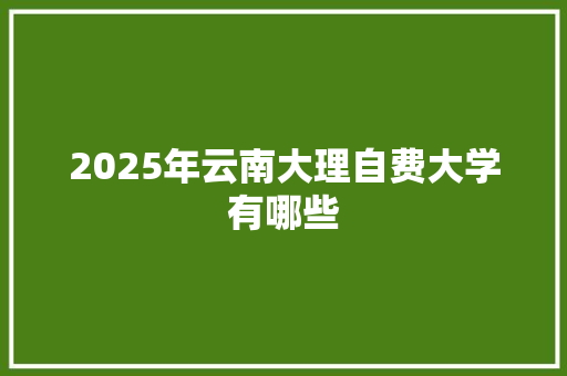2025年云南大理自费大学有哪些