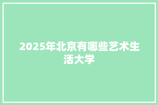 2025年北京有哪些艺术生活大学