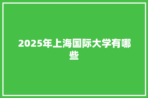 2025年上海国际大学有哪些