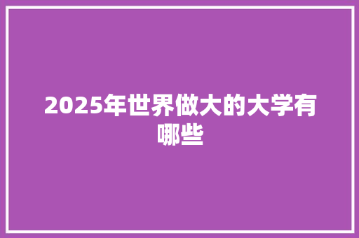 2025年世界做大的大学有哪些