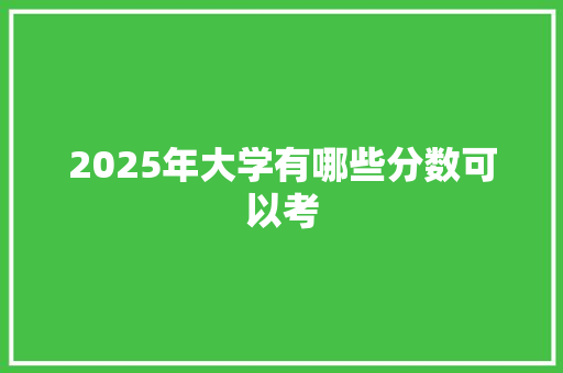 2025年大学有哪些分数可以考