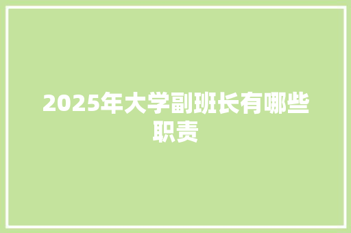 2025年大学副班长有哪些职责