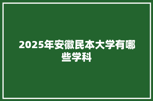 2025年安徽民本大学有哪些学科