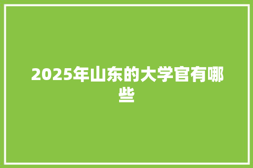 2025年山东的大学官有哪些